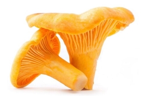 Лисичка, гриб сушеный (Cantharellus cibarius) - купить по цене 120 грн в  Украине | Zakupka.com (357315590)